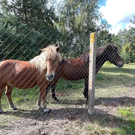 Ferienhaus Fuhlendorf Fdz 711 * Fuhlendorf (Mecklenburg-Vorpommern)