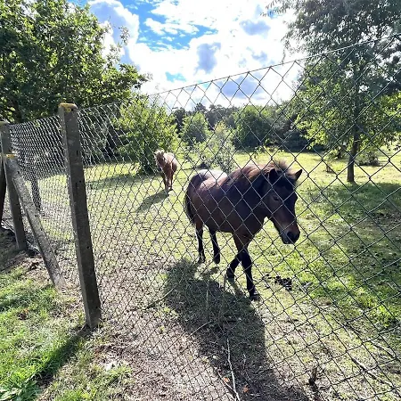 Ferienhaus Fuhlendorf Fdz 711 Fuhlendorf (Mecklenburg-Vorpommern)